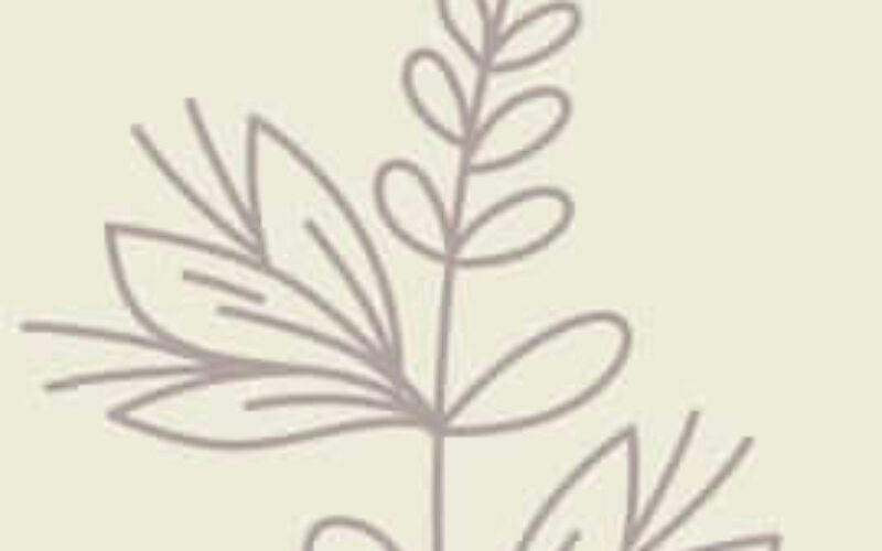 picture20230701003930