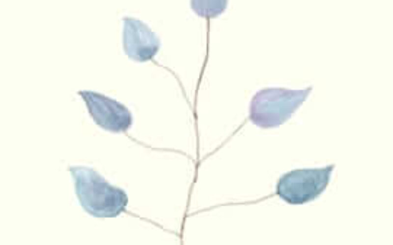 picture20230720210358