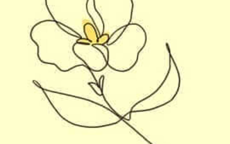 picture20230727011232