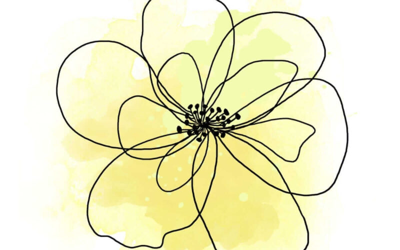 picture20230727011514