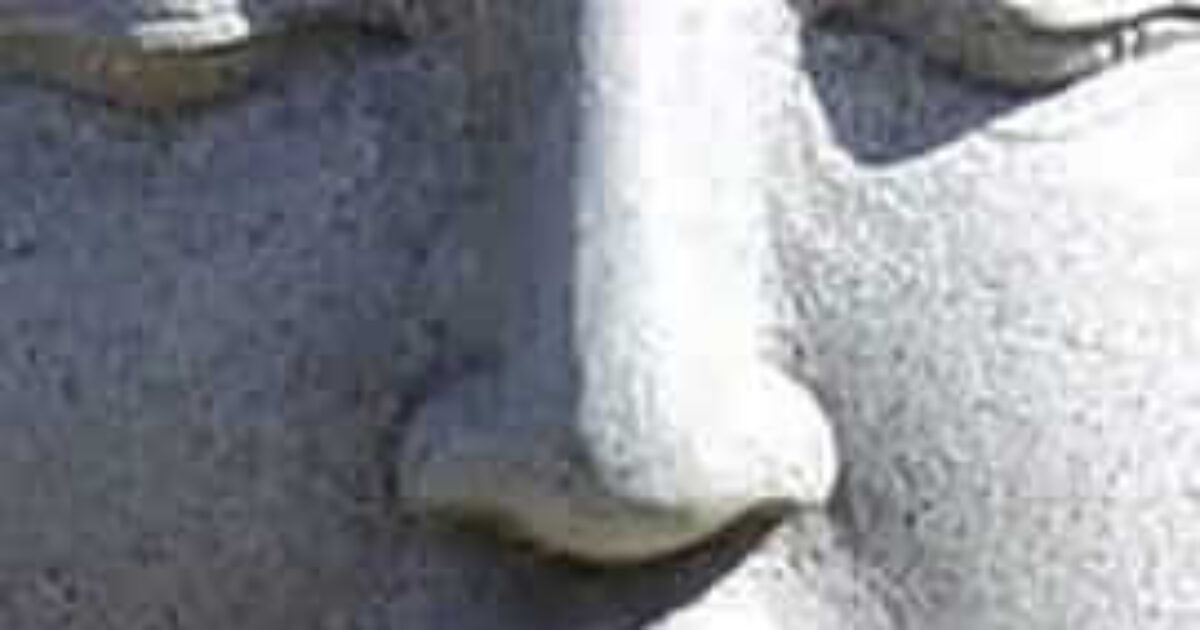 picture20230810152401