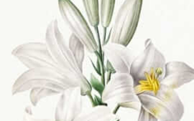 picture20240102144857