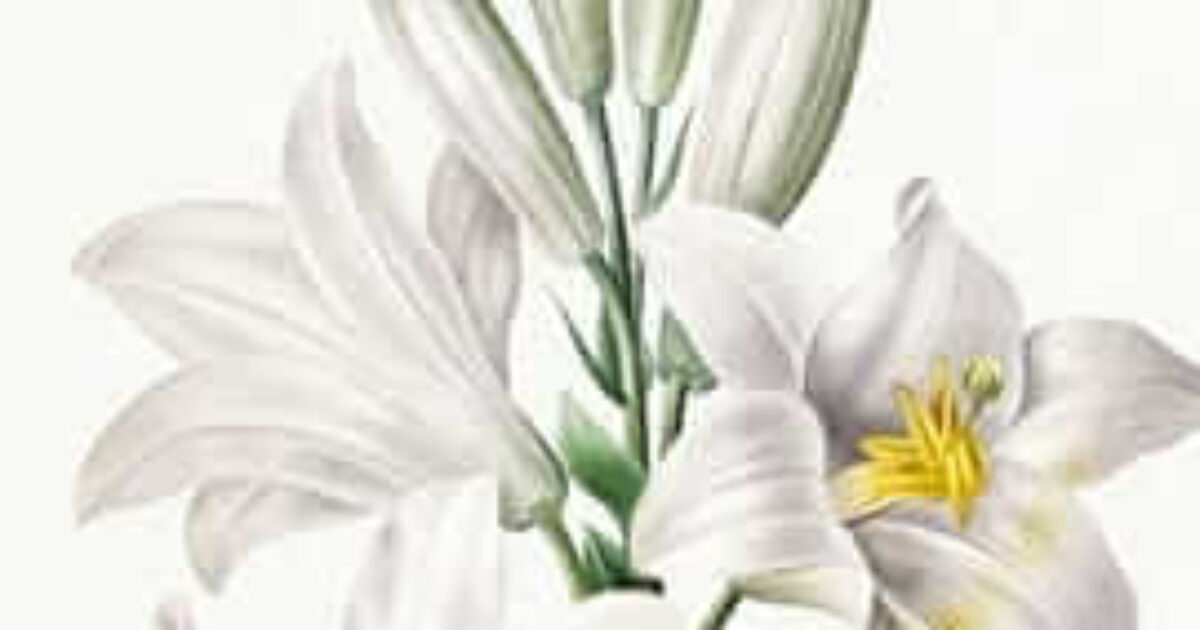 picture20240102144857