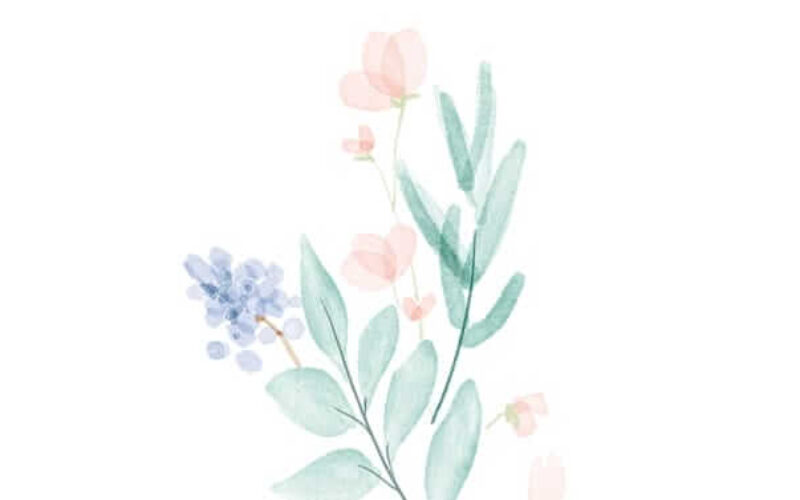 picture_in20221113195711