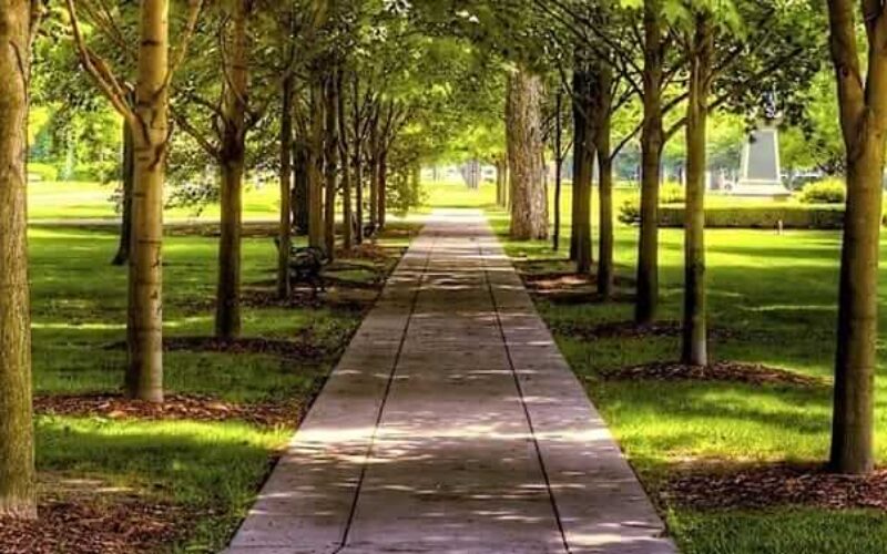 picture_in20221218013920