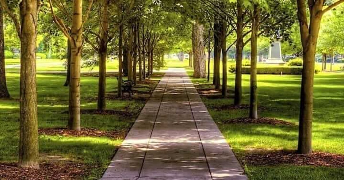 picture_in20221218013920