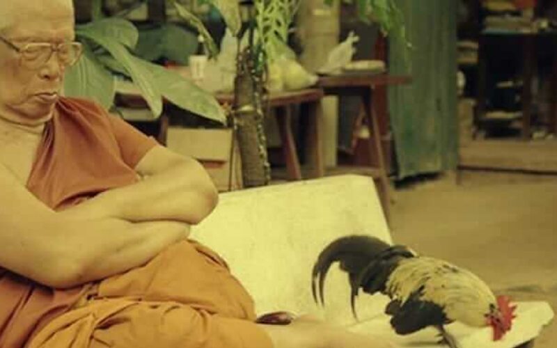 picture_in20230224082047