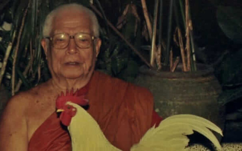 picture_in20230308094328