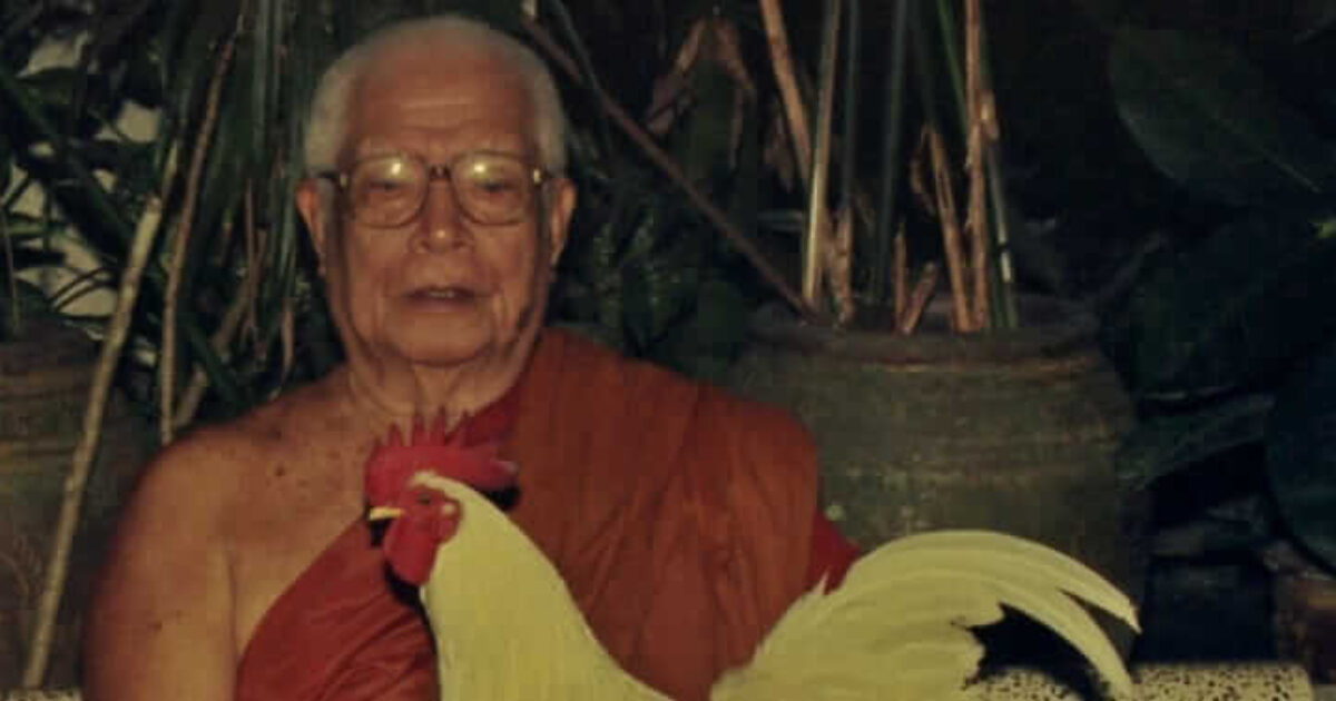 picture_in20230308094328