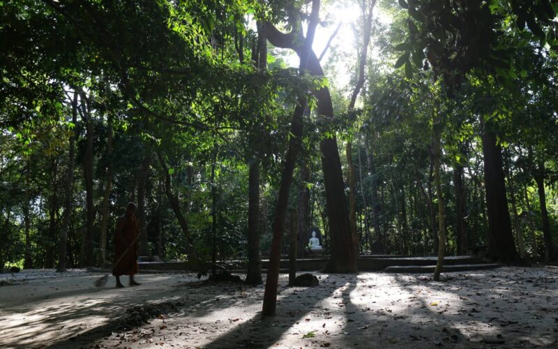suan mokkh (8)