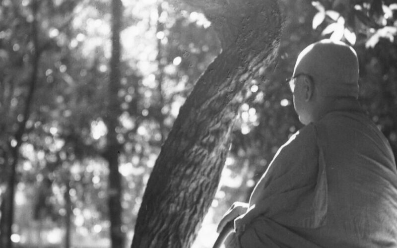 พุทธทาส