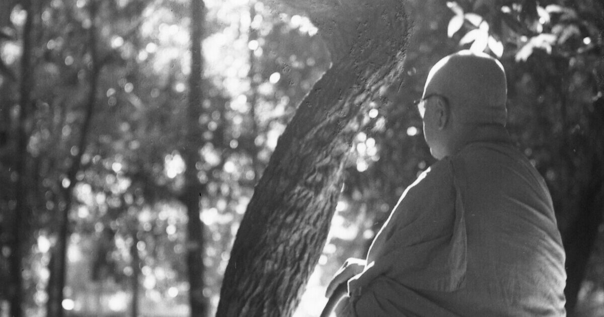 พุทธทาส