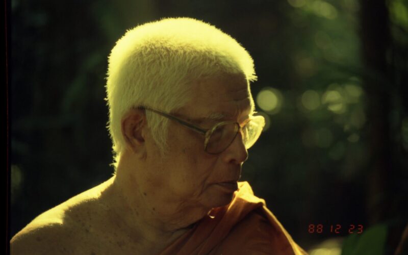 วันละสังขารพุทธทาสภิกขุ